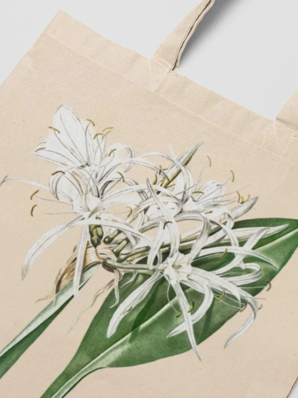 Green-Tinged Spiderlily Vintage Floral Print Graphic Canvas Tote Bag